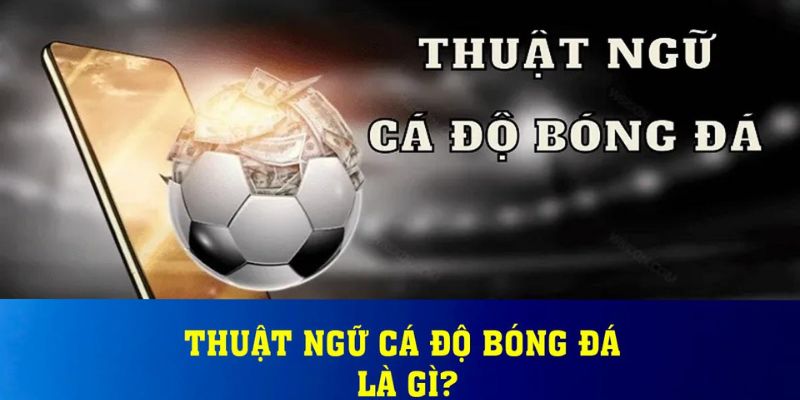 Giải nghĩa thuật ngữ cá độ bóng đá tổng quan nhất